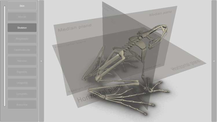 3D Frog Skeleton screenshot-3