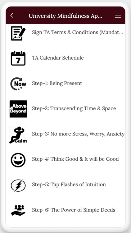 MiBSM Mindfulness TA-Training