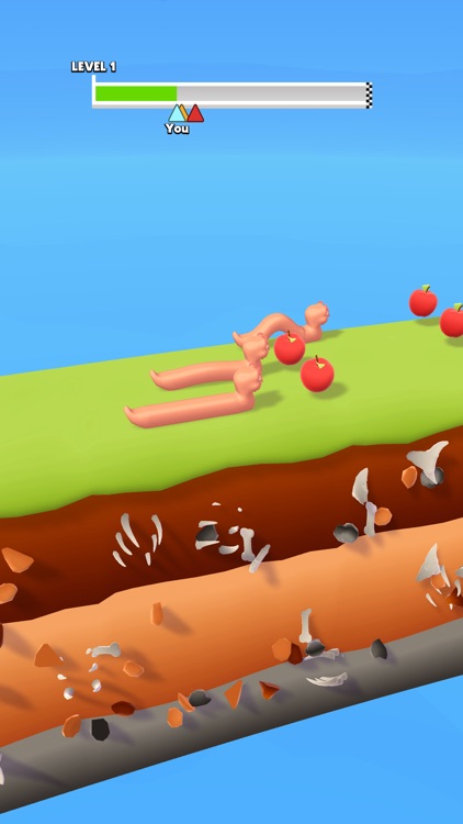 Worm Race 3D