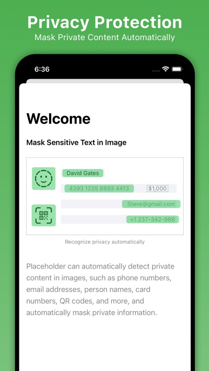 DAMA - Image Privacy Redacted