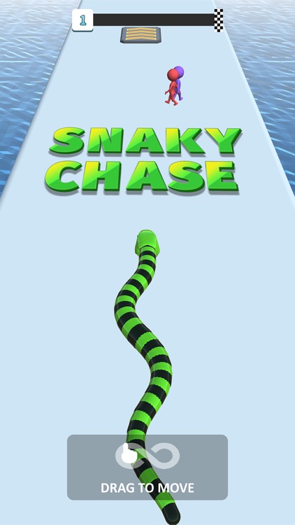 Snaky Chase