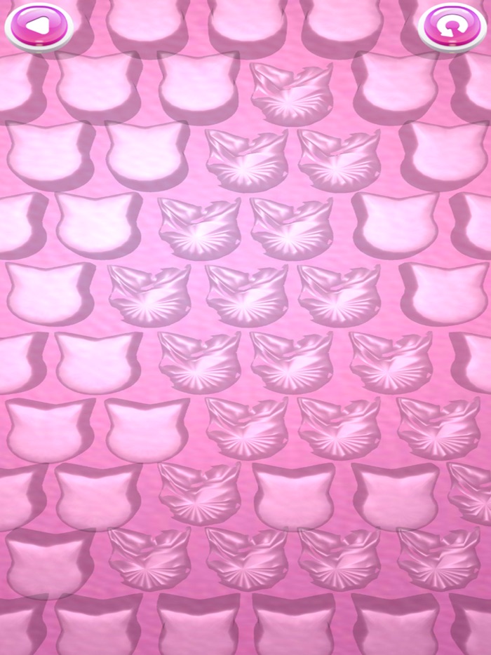 bubble wraps - pop it fidgets