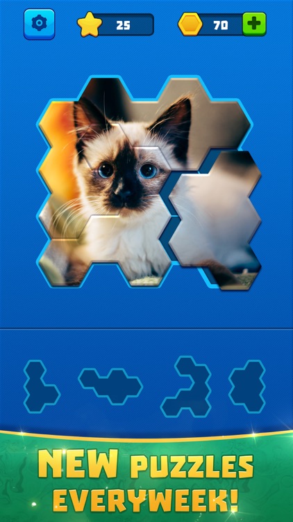 Hex Block Jigsaw screenshot-0