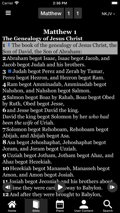 Public Reading of Scripture screenshot 2