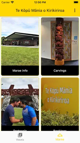 Game screenshot Wintec Waiata apk