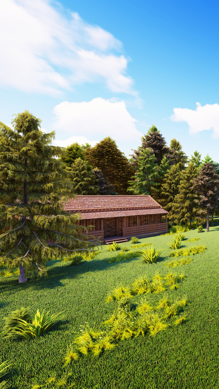 Escape Game Tree House