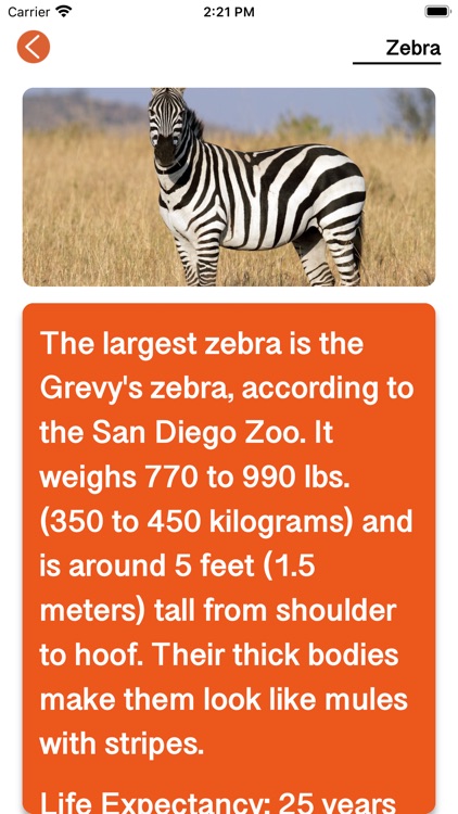 Animals-Amez screenshot-3