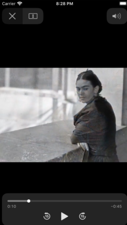 Frida Kahlo screenshot-7