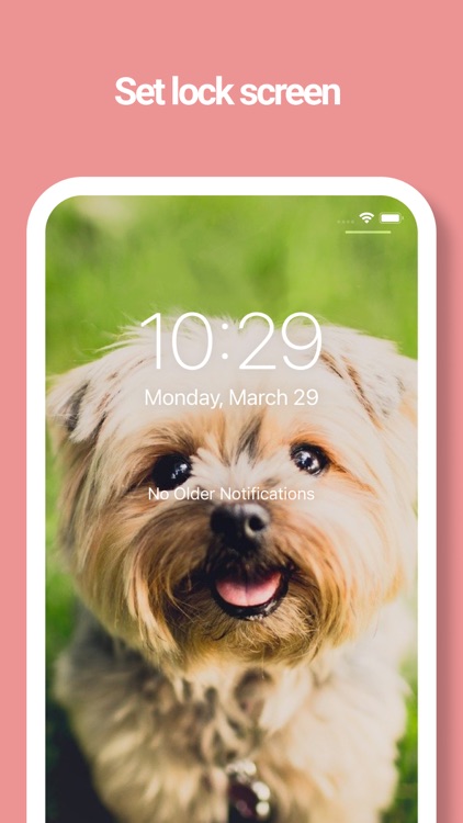 Dog Wallpapers -Picture, Movie