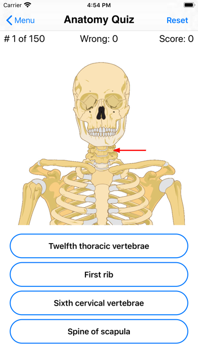 Anatomy Quiz Screenshot 5