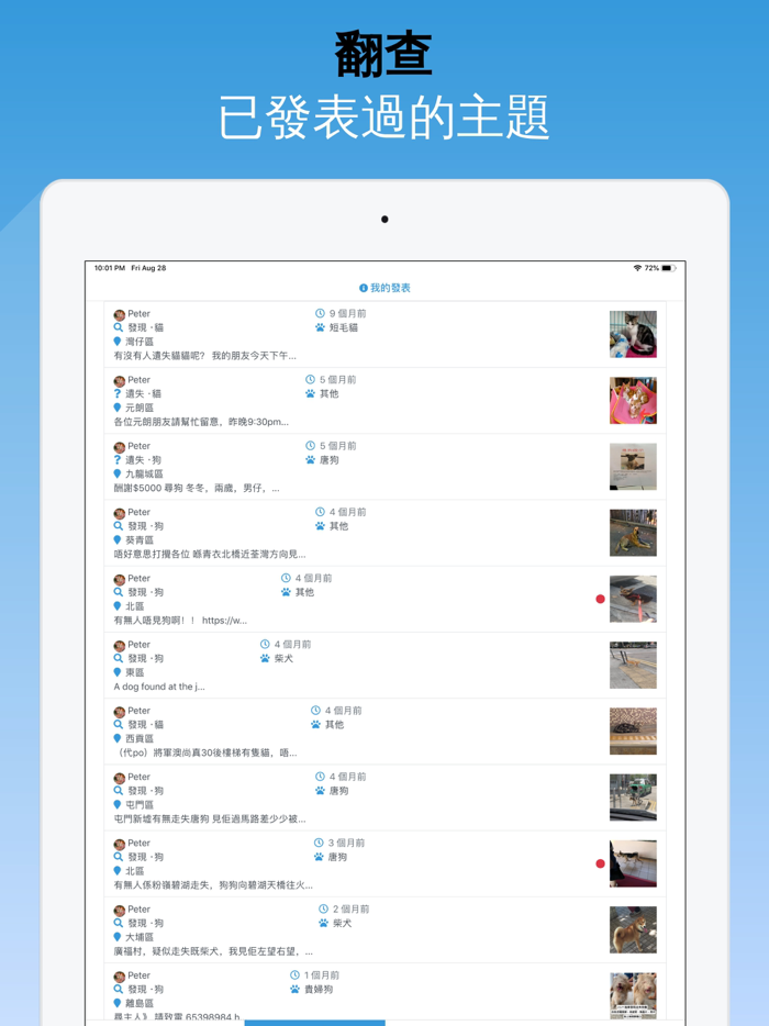 尋貓救狗 Find Cat Save Dog