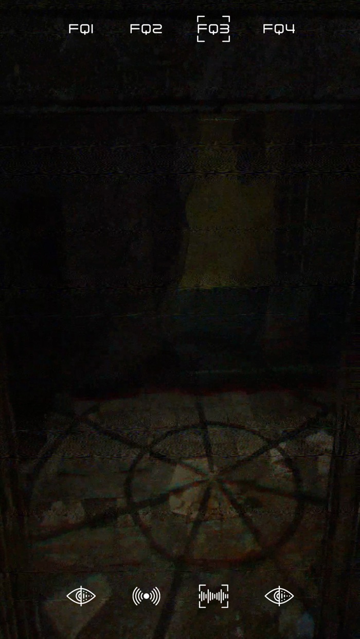 Spirit Realm Scanner EVP EMF