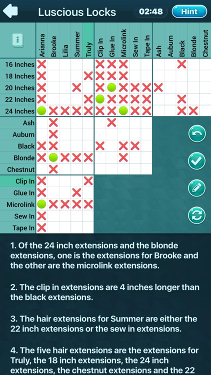 Logic Puzzles Daily screenshot-2
