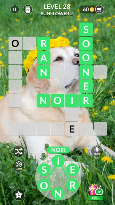 Word Pic: Puzzle screenshot 2