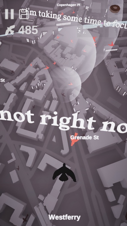 Pigeon: A Love Story screenshot-6