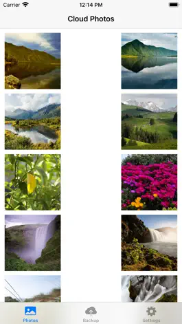 Game screenshot Blue Cloud Photos mod apk