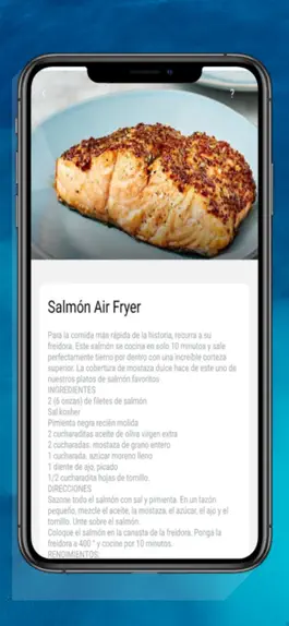 Game screenshot Recipes Air Fryer apk