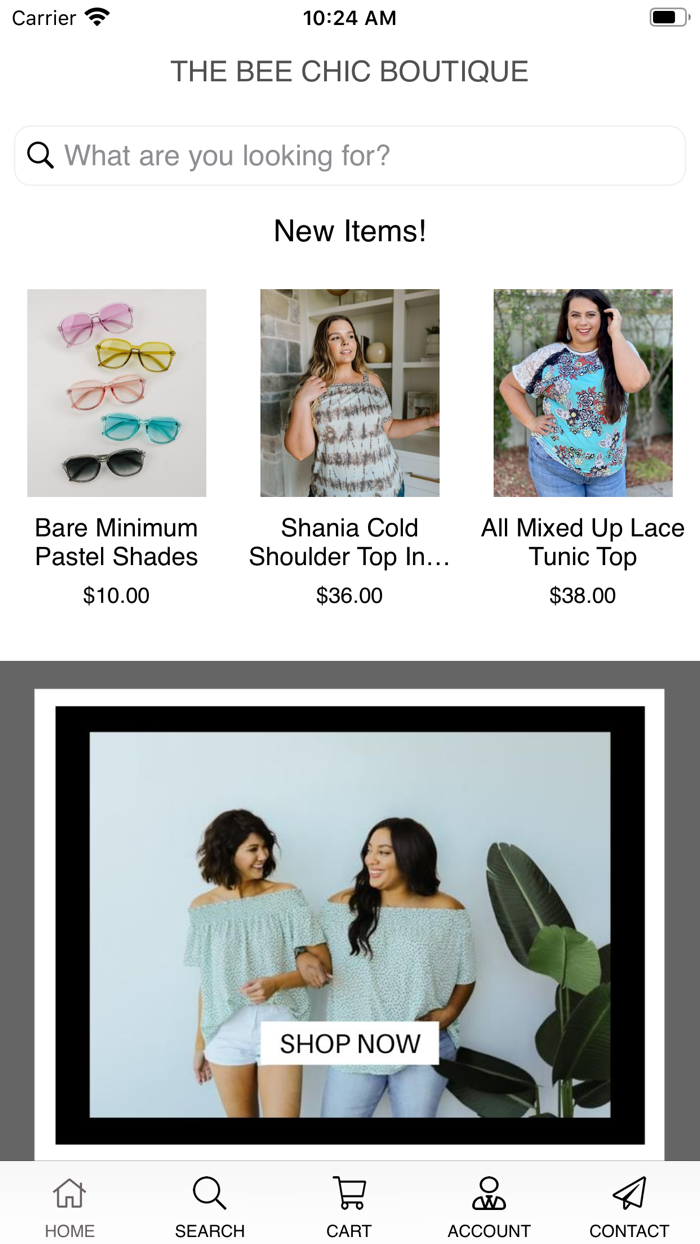 The Bee Chic Boutique