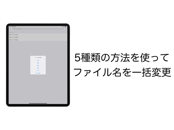 Renamer - ファイル名を一括変更