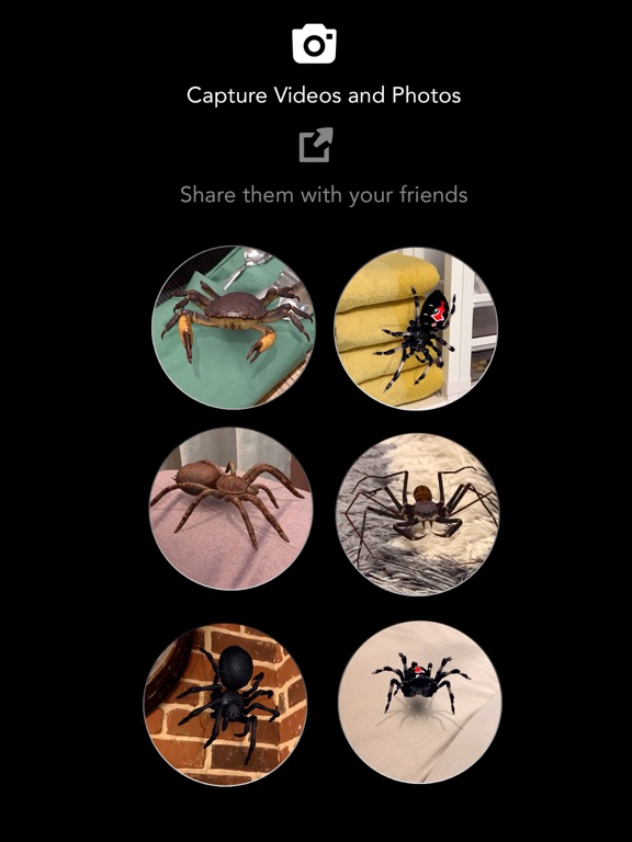 AR Spiders & Co Screenshots
