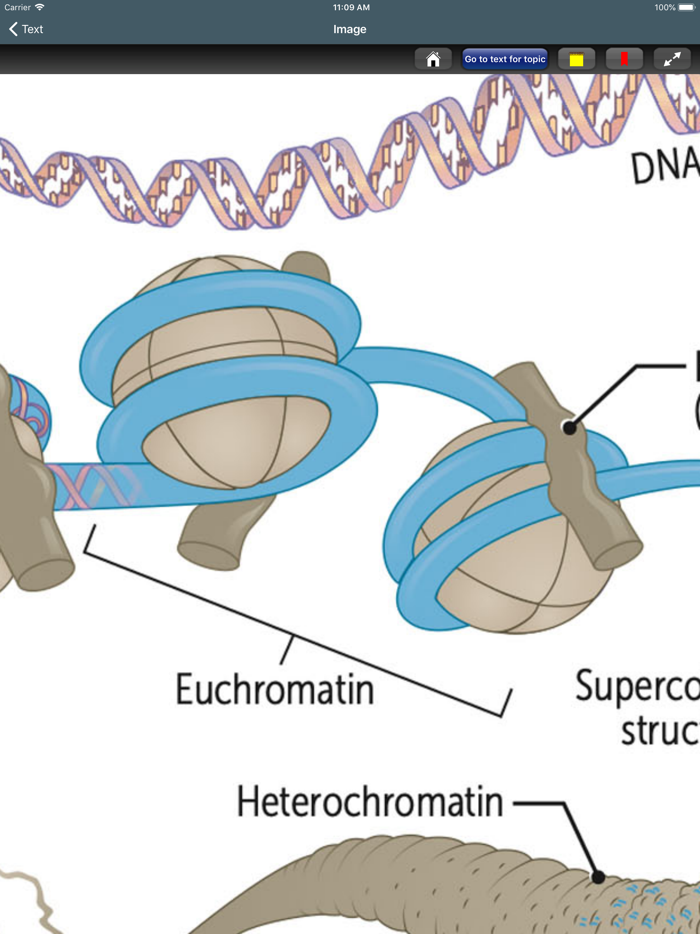 First Aid USMLE Step 1 2021