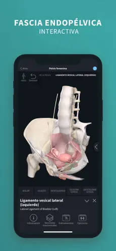 Screenshot 7 Complete Anatomy ‘21 iphone