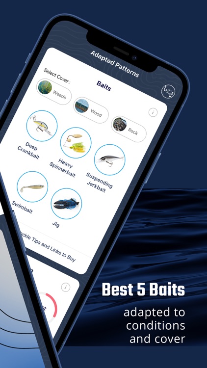 BassForecast screenshot-4