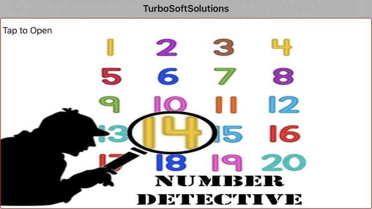 Number Detective