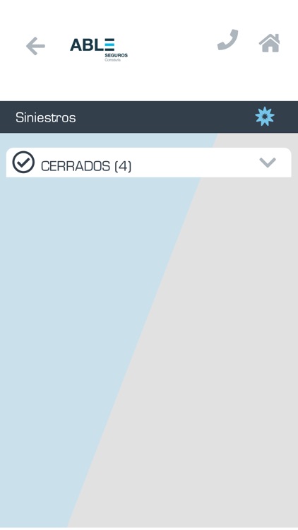 ABLE Seguros screenshot-5