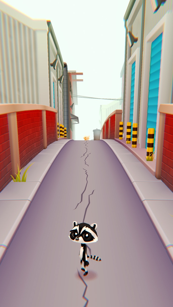 Infinite Runner Crazy Raccoon