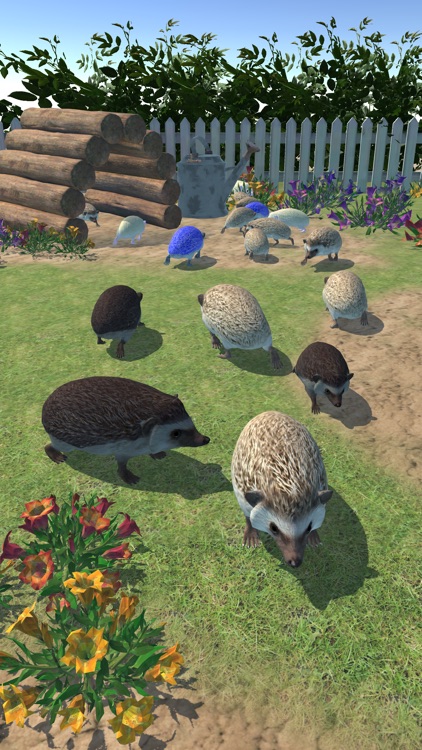 Hedgehog Friends