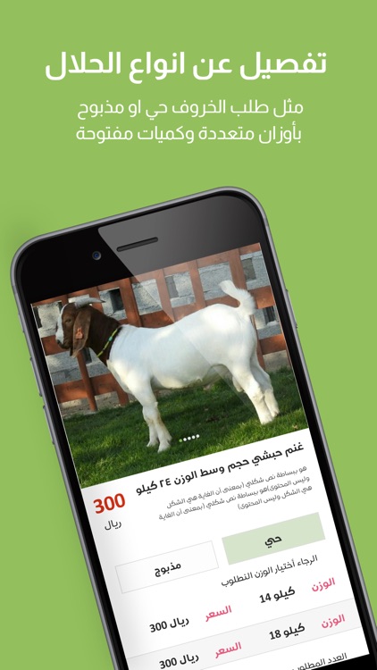 نوادر القصيم