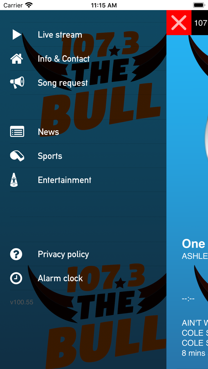 New Country 107.3 The Bull