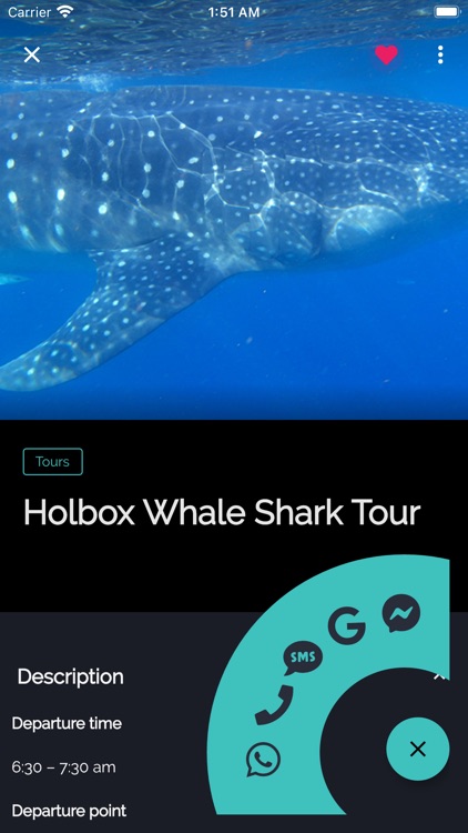 Holbox Guide screenshot-9