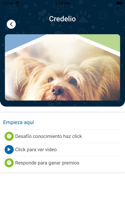 Mi Academia