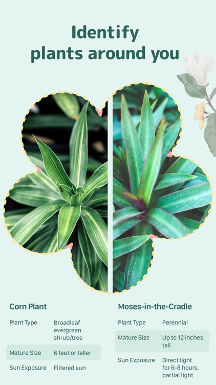 Blossom - Plant Identification screenshot-3