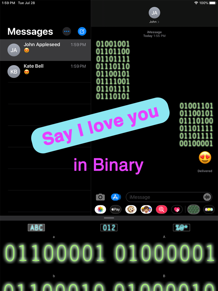 Binary Message