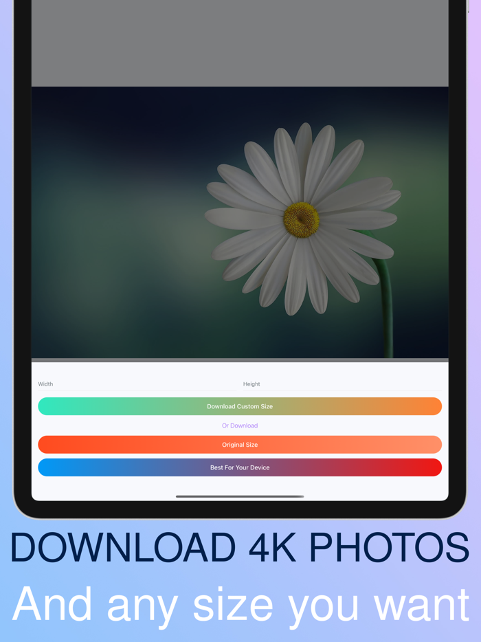 WeFoto - best stock photos