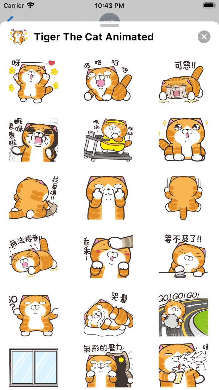 Tiger The Cat Animated