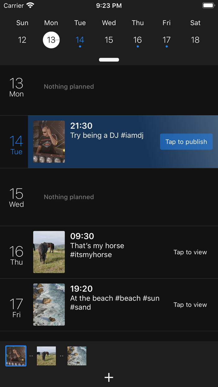 Planner Organizer for TikTok