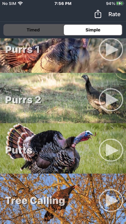 Turkey Calls for Hunting App screenshot-7