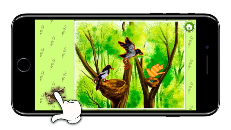 KidsDi: World birds' puzzle screenshot-3