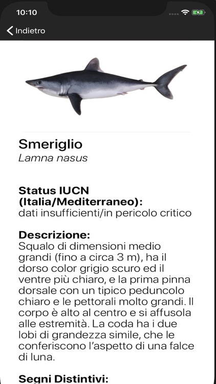 SharkApp