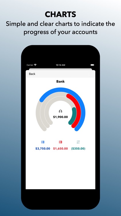 In and Out Essential CashBook