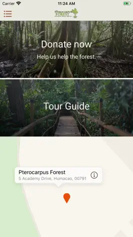 Game screenshot Pterocarpus Forest apk