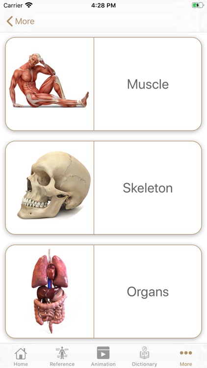 Anatomy at a Glance