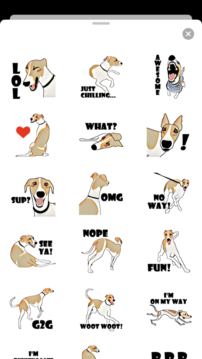 English Whippet Dog Sticker