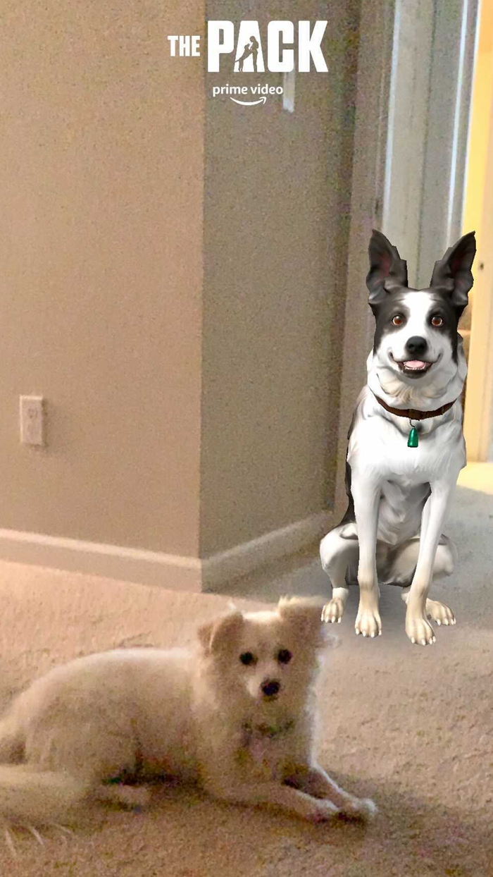 Amazon Augmented Reality