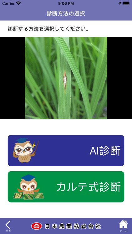 レイミーのAI病害虫雑草診断 screenshot-5
