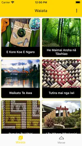 Game screenshot Wintec Waiata mod apk